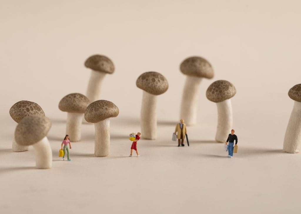 Small, brown mushrooms as innuendo for tight foreskin that cannot be pulled back. 
