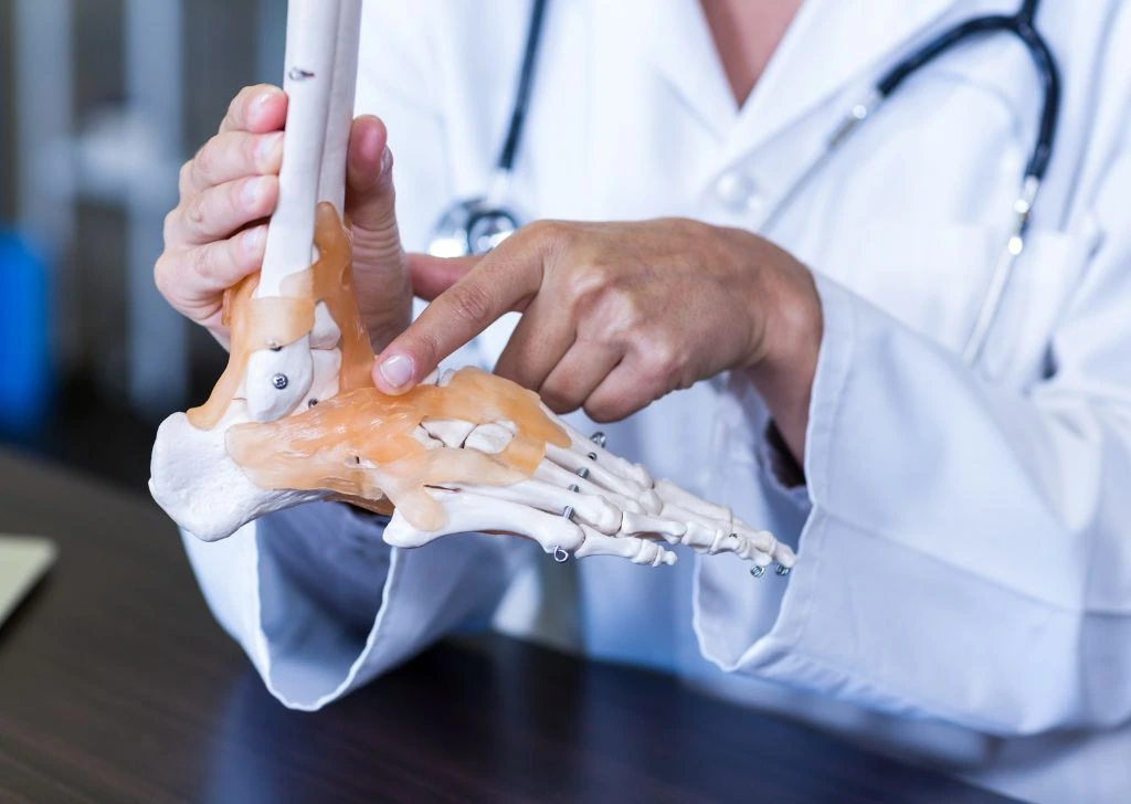 A doctor explaining bone health to a patient with low testosterone. 