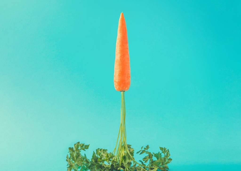 A healthy carrot used as an innuendo for strong erections treated by shockwave therapy.
