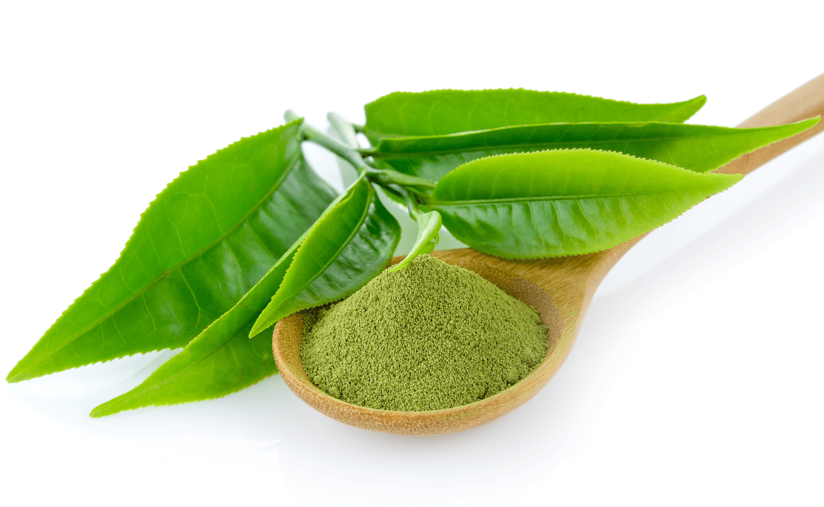 Green Tea Extract