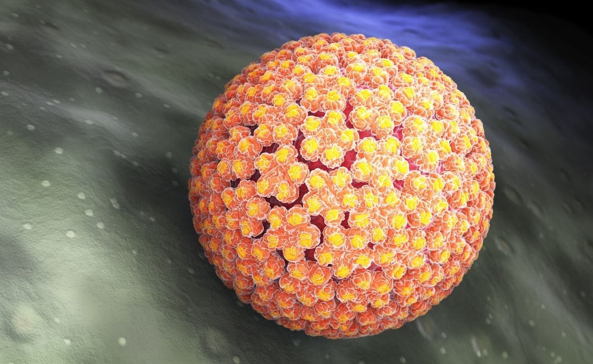 HPV Virus