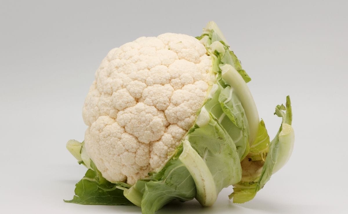 Warts cauliflower
