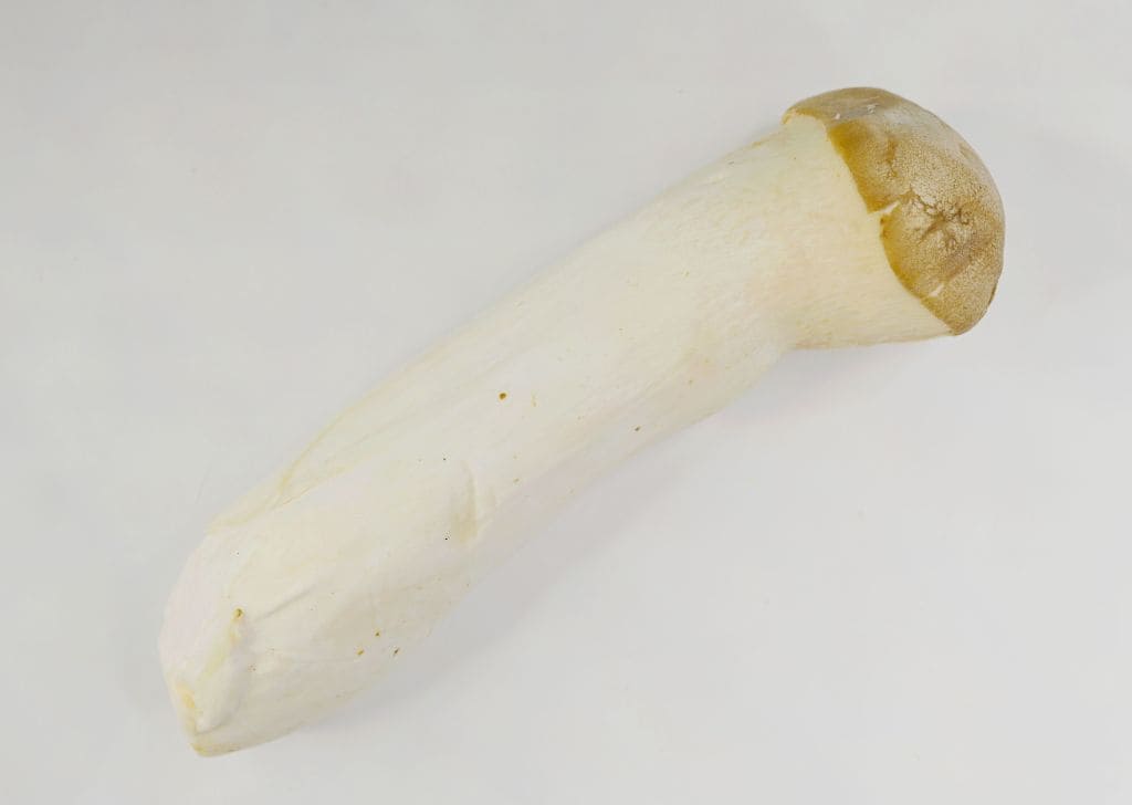 Implan Zakar untuk Mati Pucuk: Apa Anda Perlu Tahu