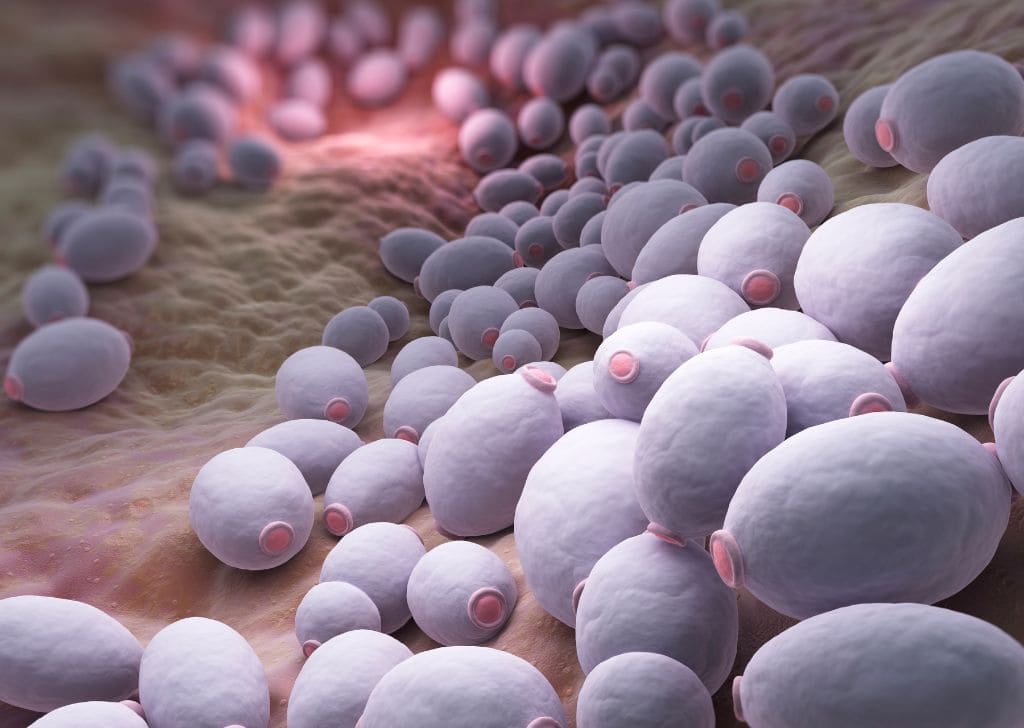 Tanda & Rawatan Gonorrhea (penyakit gonore) di Malaysia | Klinik He Medical