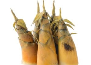 Picture of bamboo shoots as an innuendo on tight foreskin that cannot be pulled back.