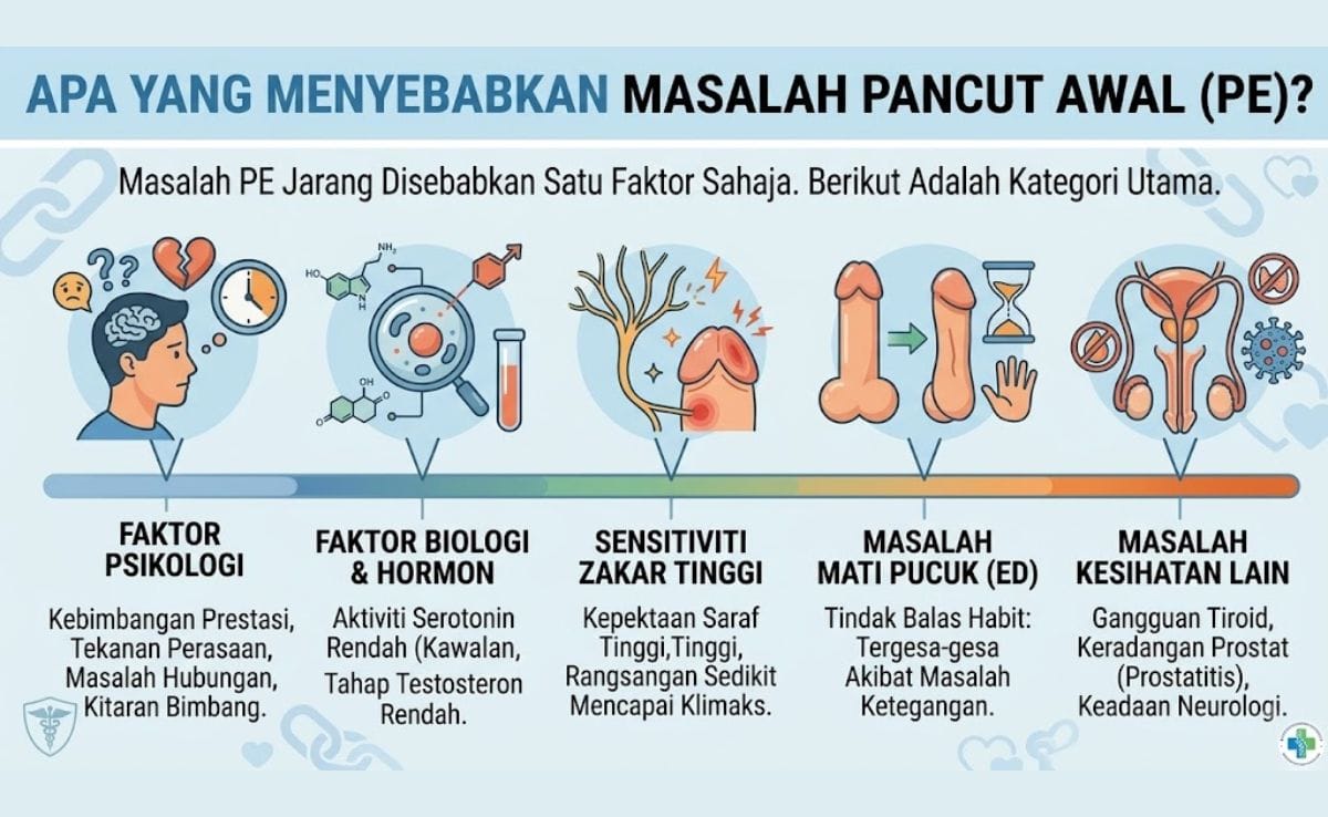 Pancut Awal (PE): Panduan Lengkap untuk Lelaki Malaysia 3 Apa Yang Menyebabkan Masalah Pancut Awal (PE) ?